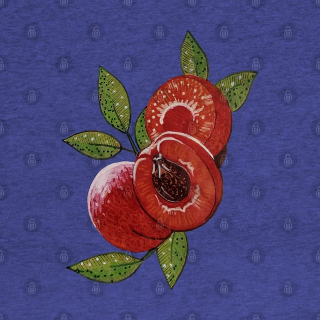 apricot by tetiana12.art